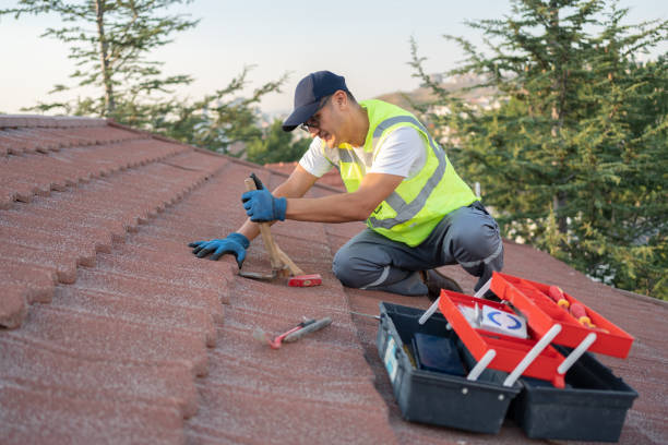 Best Metal Roofing Contractor  in Ellicott City, MD